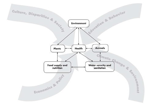 The local and global influences impacting human health, including the interdependence of people, animals, plants , and: the environment, and the associated food and water availability, safety, and security.  Graphic artist credit: A. Kent. doi:10.1371/journal.pmed.1000190.g001 PLoS Med 6(12): e1000190.